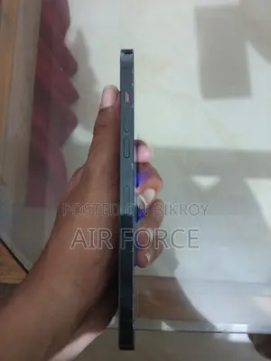 Apple iPhone 12 Pro Max 256 GB Blue