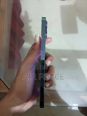 Apple iPhone 12 Pro Max 256 GB Blue