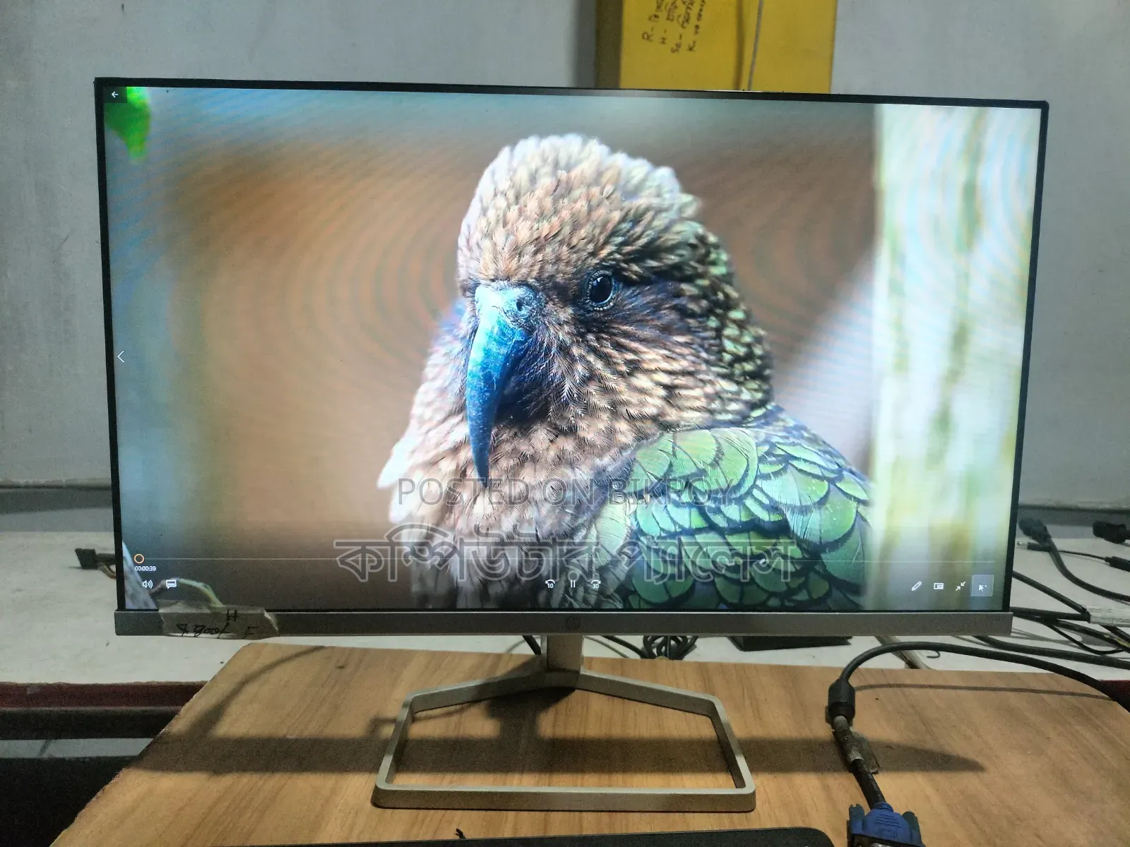 HP IPS Borderless Monitor M22f