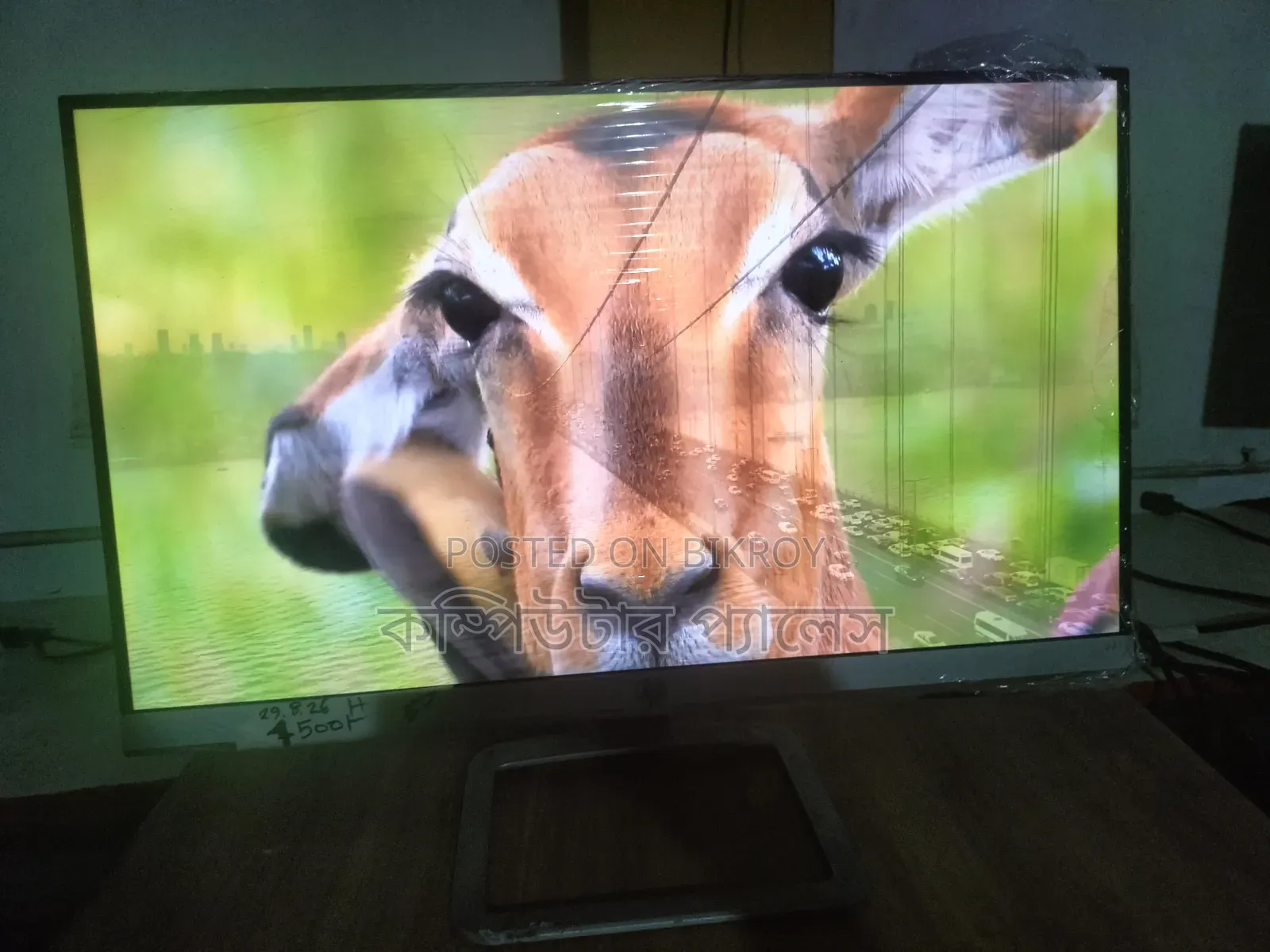 22f HP IPS Borderless Monitor