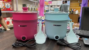 Rosery 2.2 Liter Multifunctional Cooker, Non-Stick, Brand New