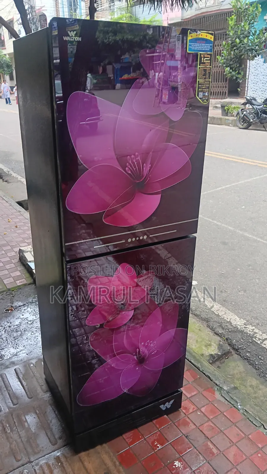 Walton Glass Door Fridge