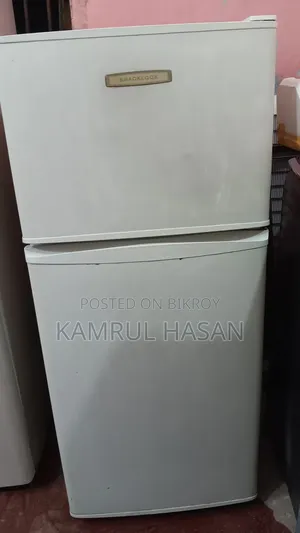ইটালিয়ান কেলভিনেটর ফ্রিজ