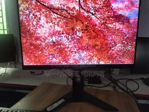 24Gigabyte 165HzMonitor G24f2