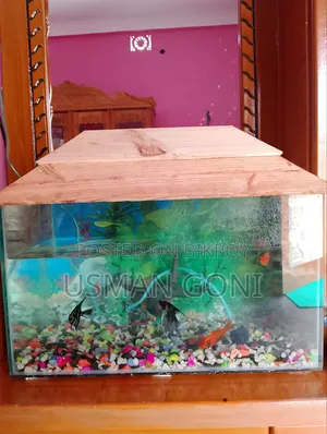 Aquarium Fish