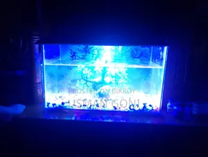 Aquarium Fish