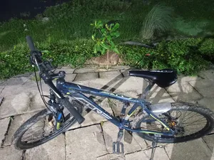 কোর সাইকেল