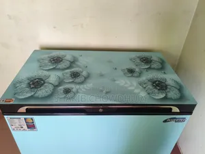 Walton Inverter Deep Freezer 255 LTR (WCG-2E5)