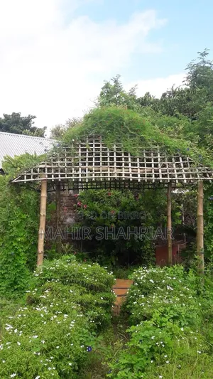 Plot for Sale 3 Katha Bashundhara River View