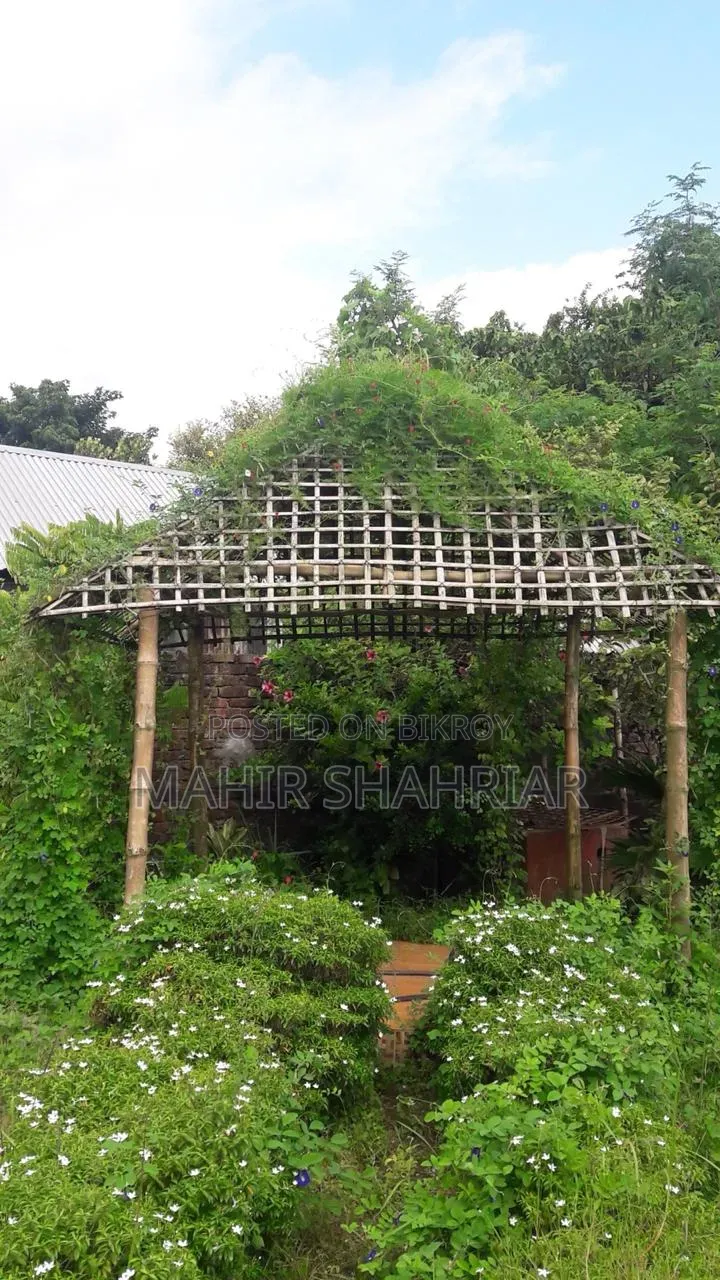 Plot for Sale 3 Katha Bashundhara River View