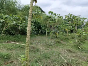 নুর মোহাম্মদ
