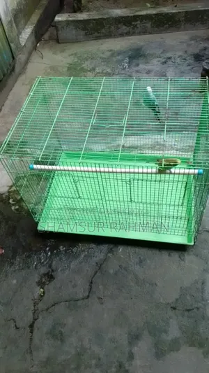 খাচা সহ বাজরিগার ২ টা