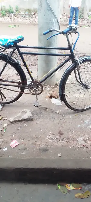 ফনিক্স সাইকেল