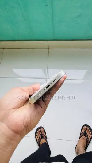 অ্যাপল আইফোন ১৩ ২৫৬ জিবি সিলভার