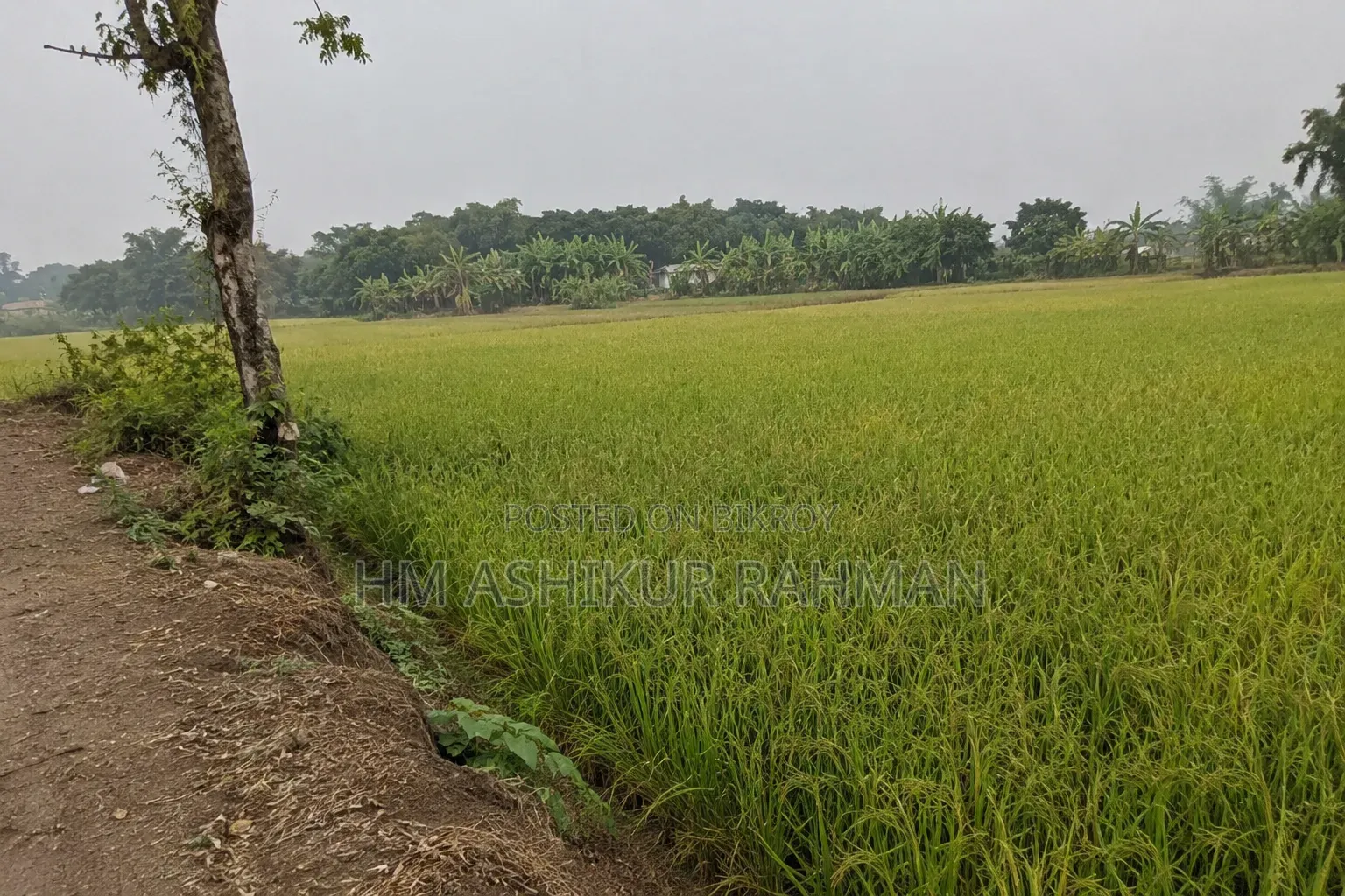 জমি বিক্রয়