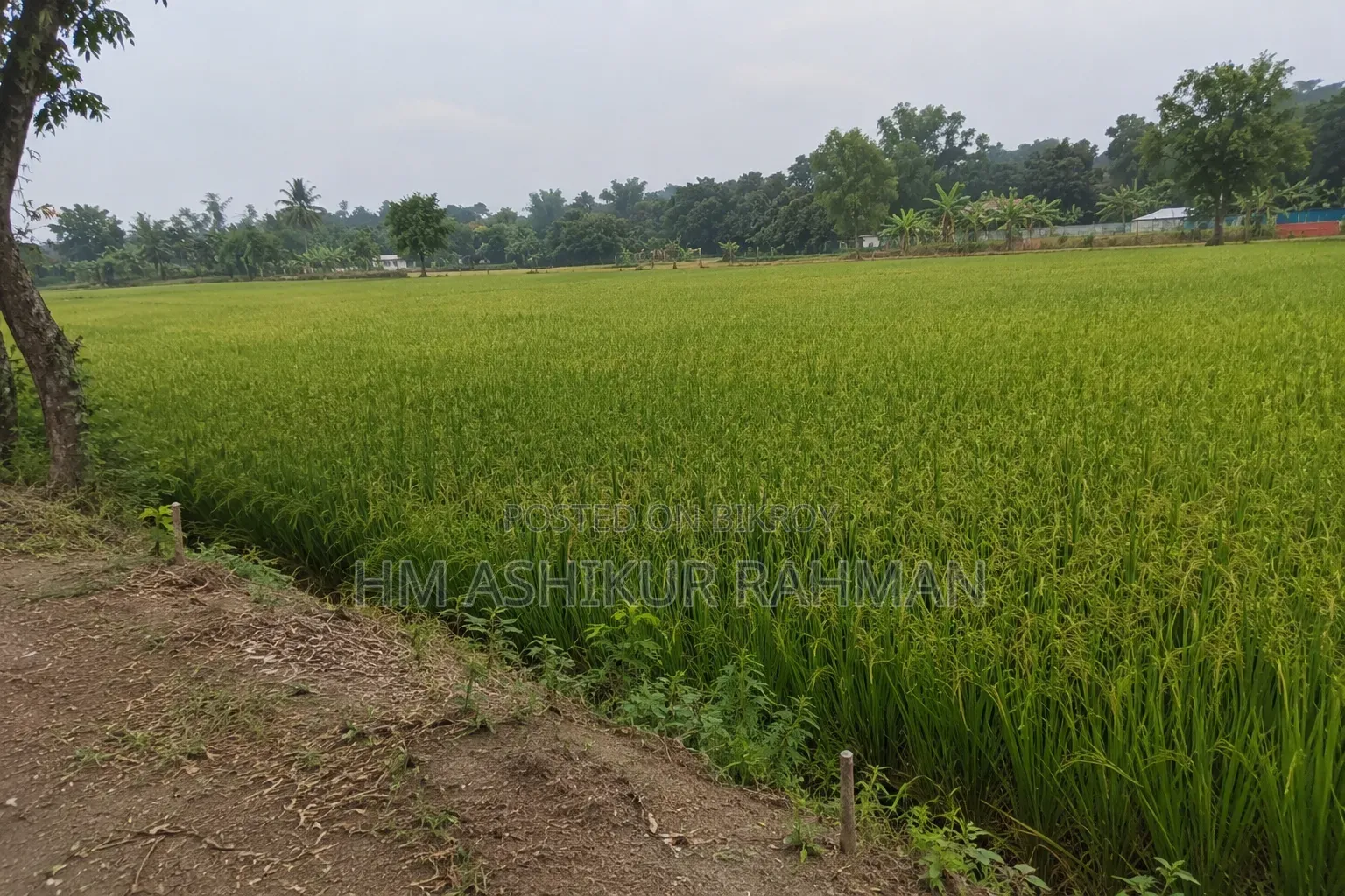 জমি বিক্রয়
