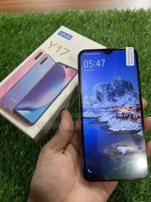 Vivo Y17 256 GB Pink