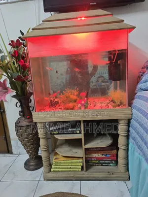 Fish Acurium