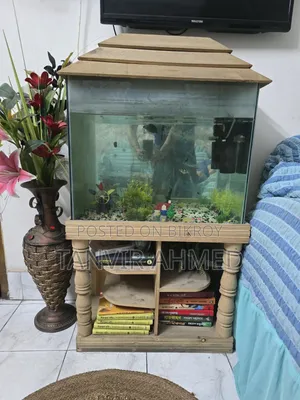 Fish Acurium