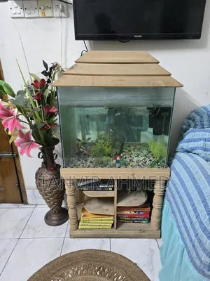 Fish Acurium