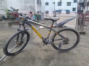 Peerless 6061 Alloy Body Non-Gear Bicycle | Golden Alloy Hubs