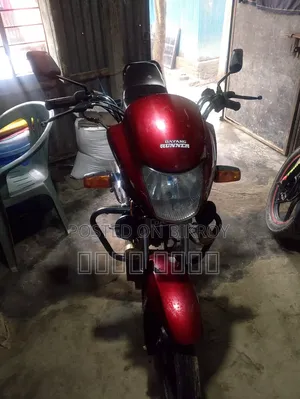 Runner AD80S-DELUXE 2023 Red