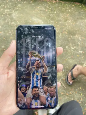 Apple iPhone 12 Pro Max 512 GB Blue