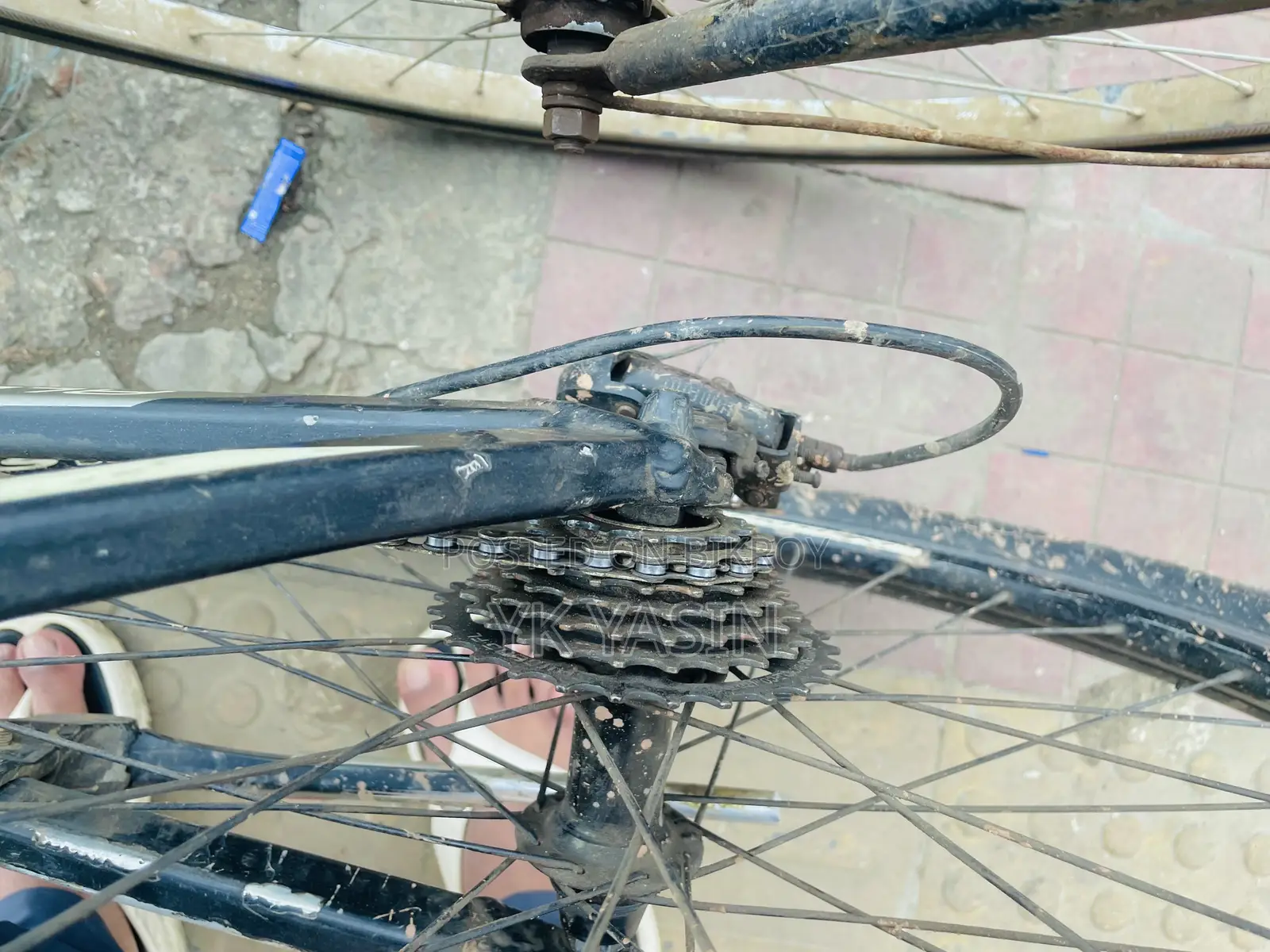 Nekro ASH10 Premium