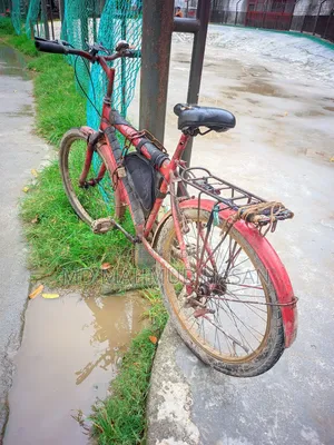 Running Bicycle