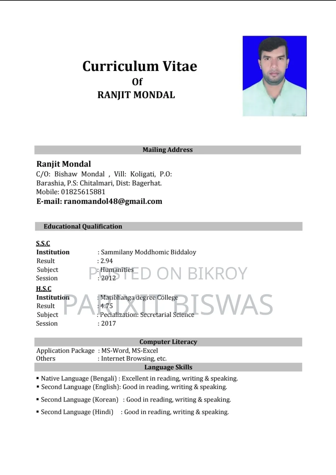 sales executive job