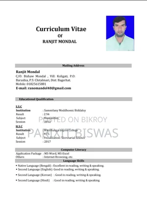 sales executive job