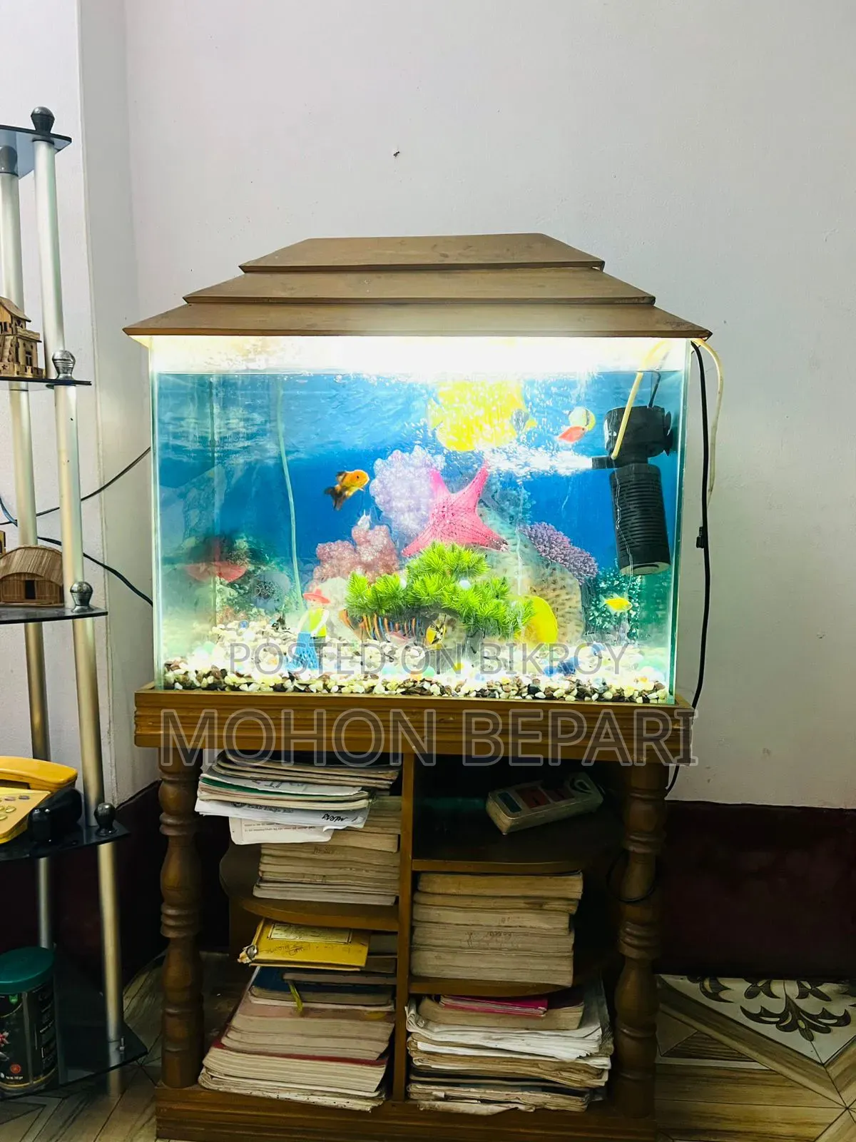অ্যাকুরিয়াম ও যাবতীয় সরঞ্জাম