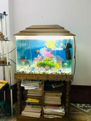 অ্যাকুরিয়াম ও যাবতীয় সরঞ্জাম