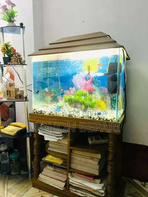 অ্যাকুরিয়াম ও যাবতীয় সরঞ্জাম