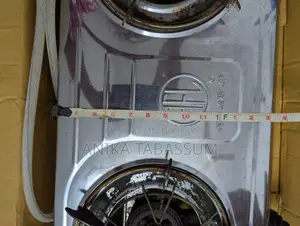 RFL Double Ss LPG Auto Gas Stove
