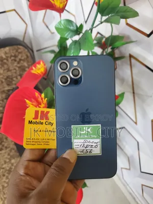 Apple iPhone 12 Pro 256 GB Gray