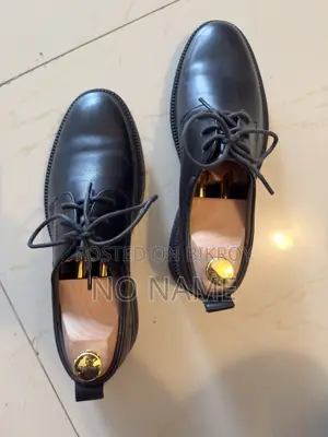 Baesn Imported Brogue Shoes (Original Leather+Rubber)