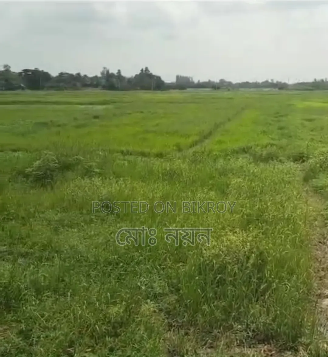 সুলভ মূল্যে জমি বিক্রি হবে!