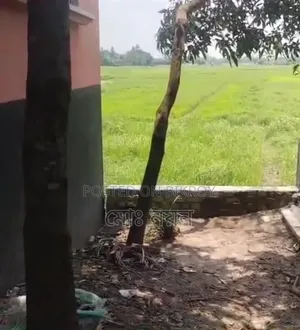 সুলভ মূল্যে জমি বিক্রি হবে!