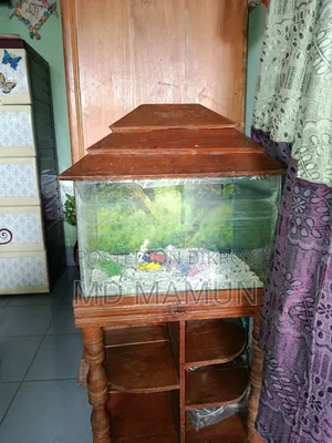 Fish Aquarium