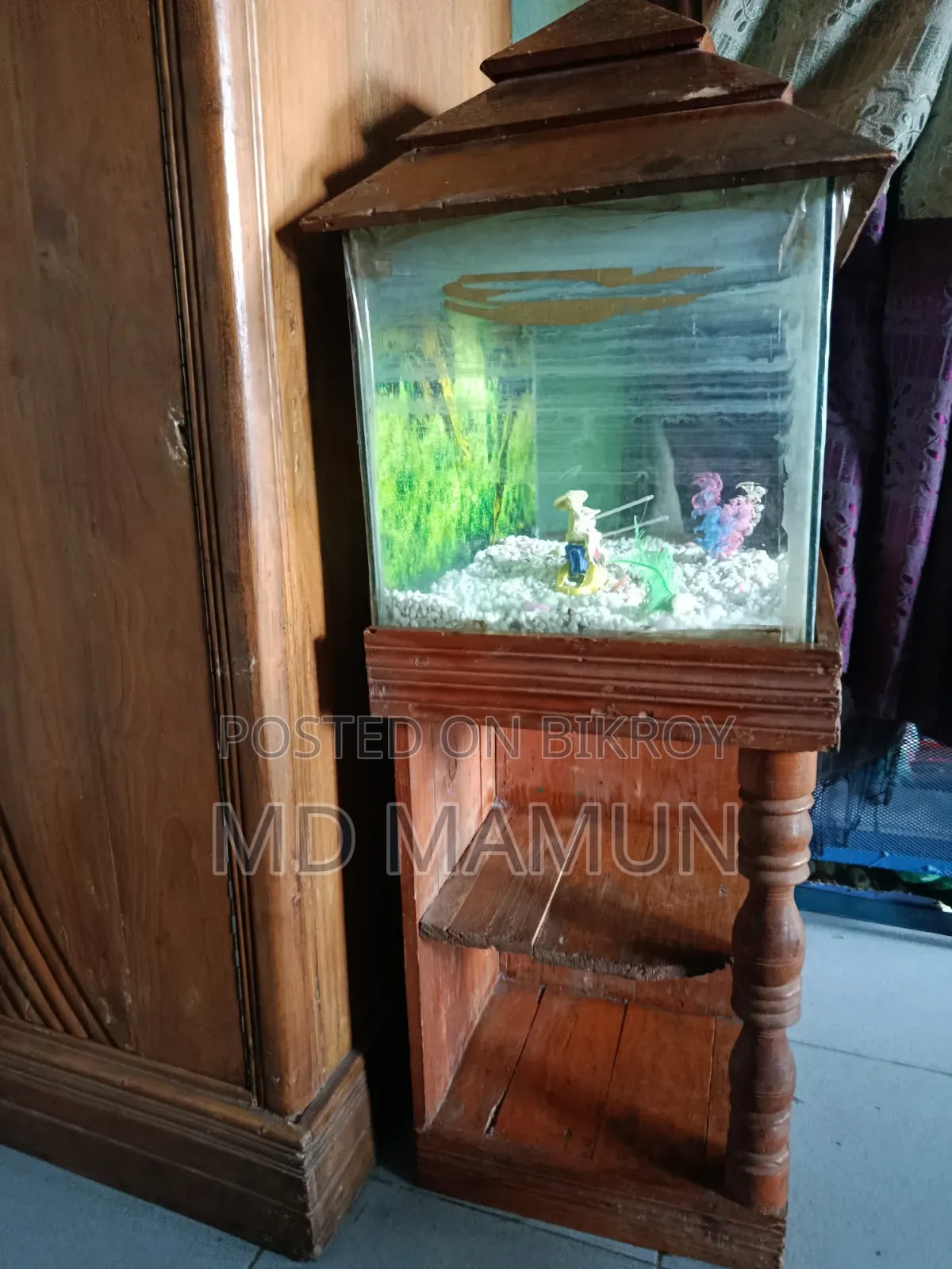 Fish Aquarium