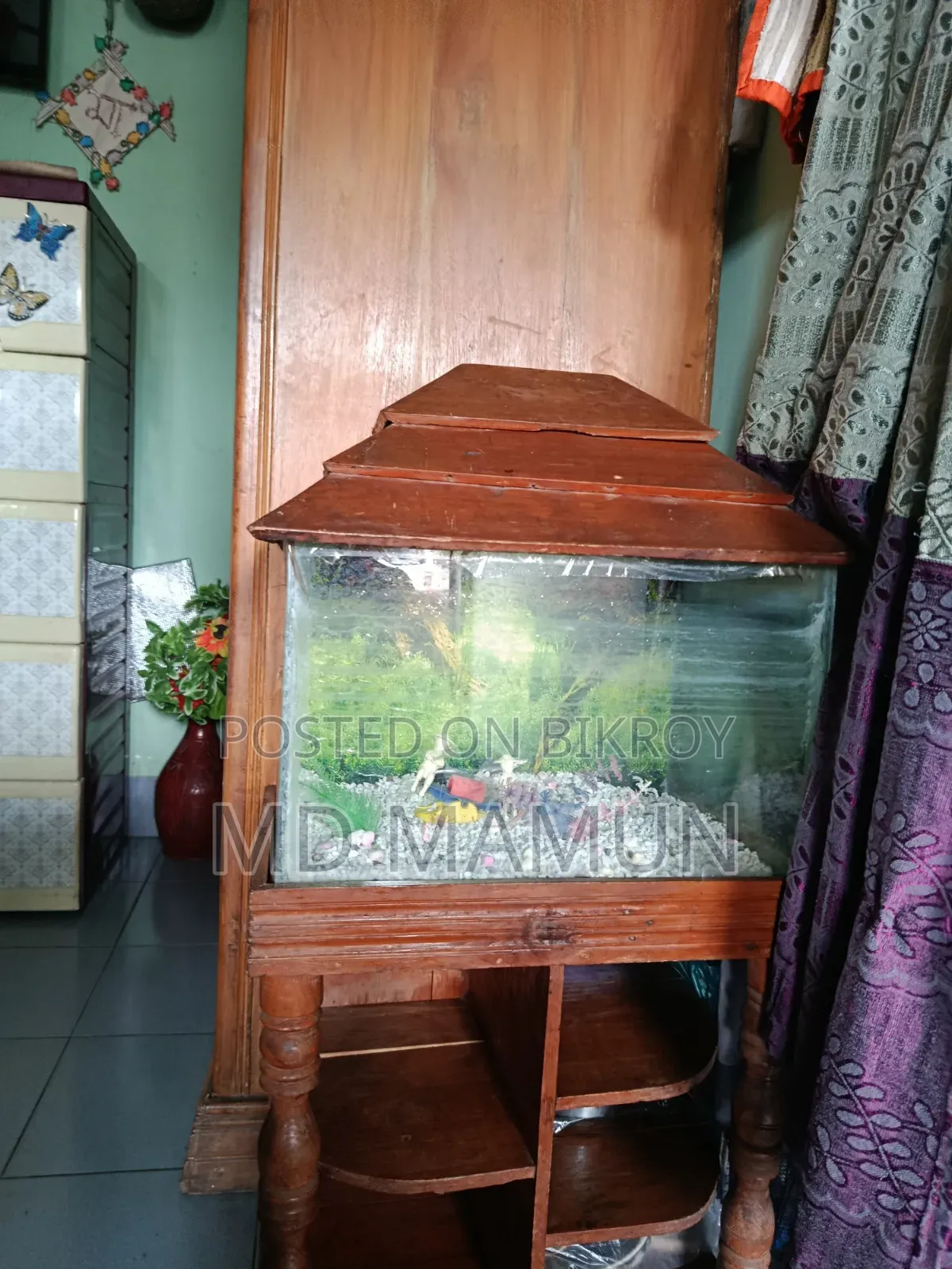 Fish Aquarium