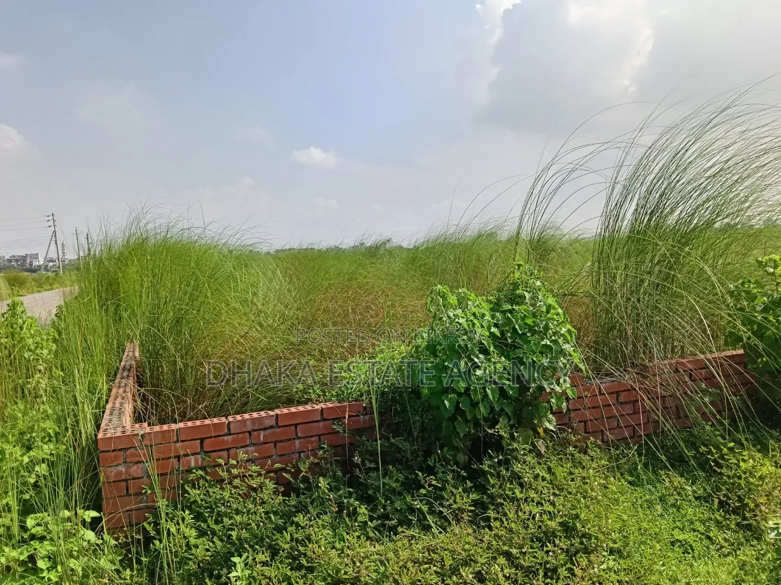 Block-M, Lake View South Facing Plot Sale