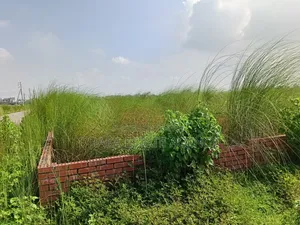 Block-M, Lake View South Facing Plot Sale