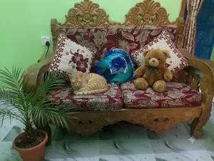 Shegun Wood Magnificent Sofa Set