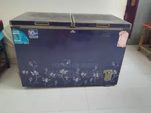300L Walton Deep Freezer | Like New | বাসায় ব্যবহৃত | ভালো কন্ডিশন