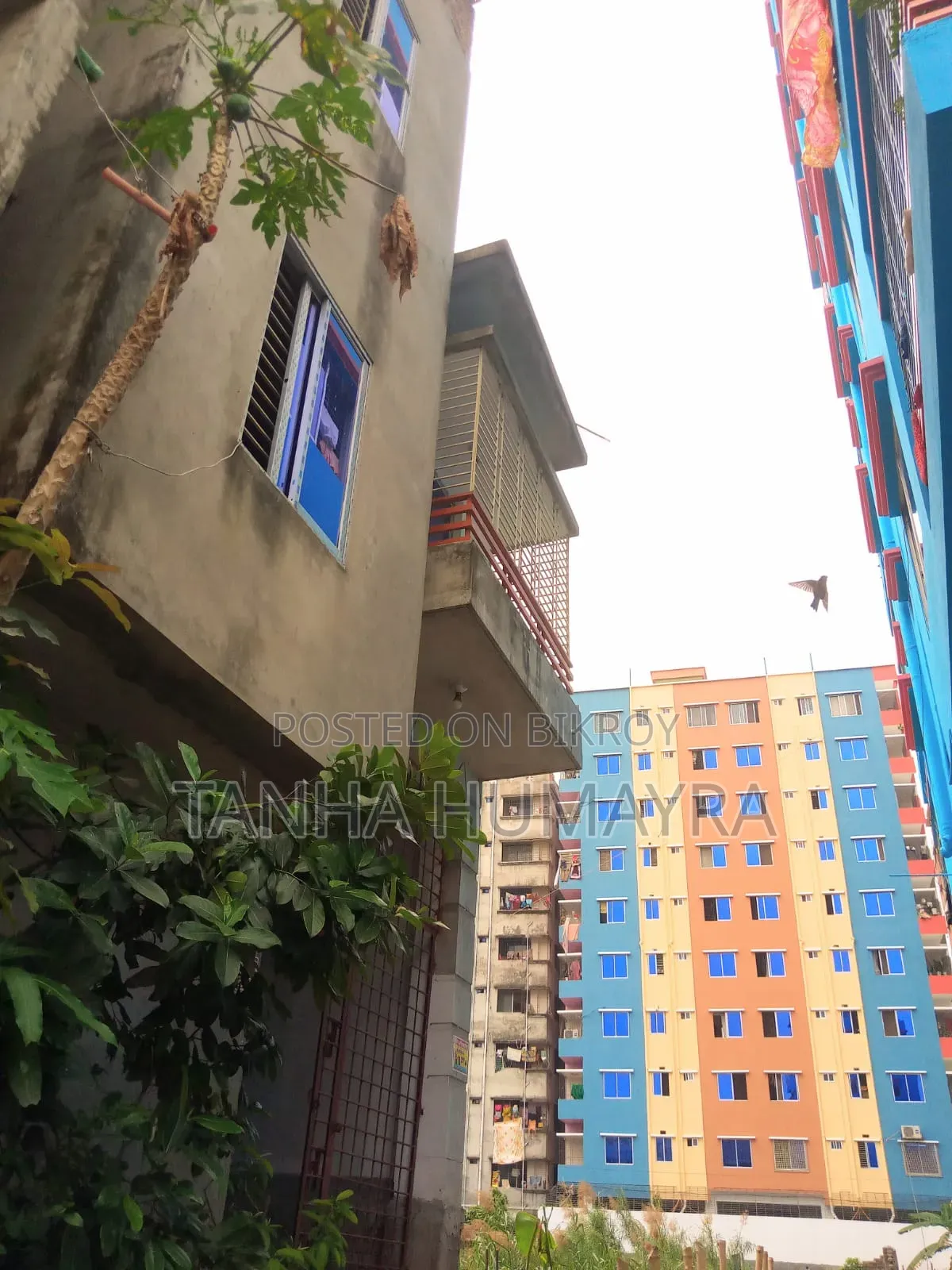 4bdrm House in Jatrabari for sale