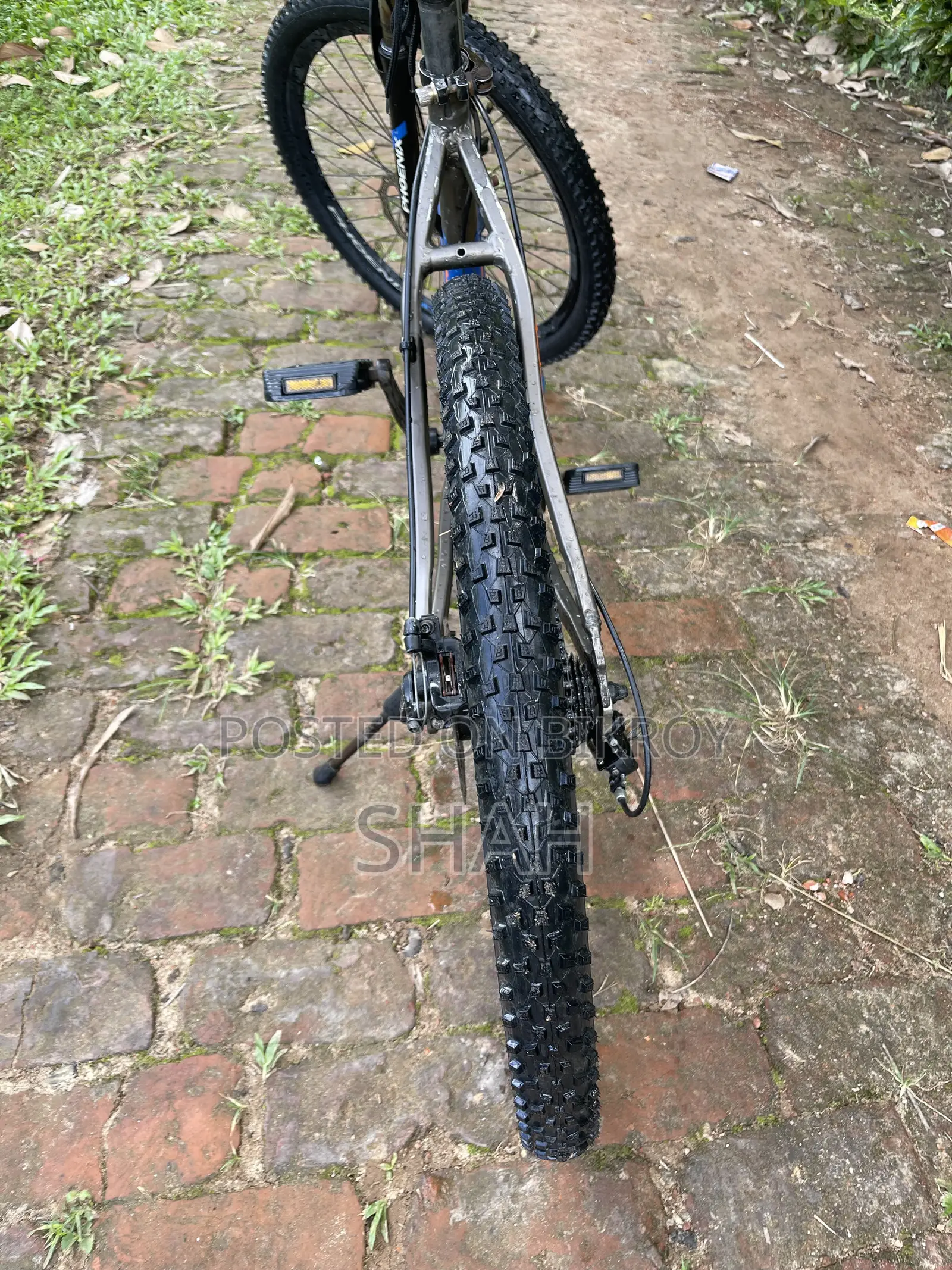 Phoenix Bicycle