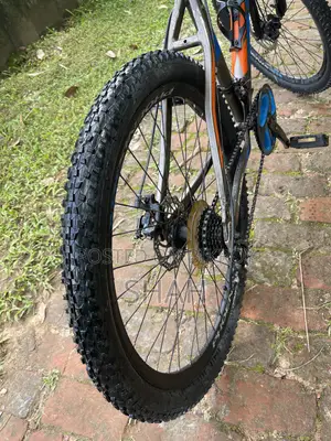 Phoenix Bicycle