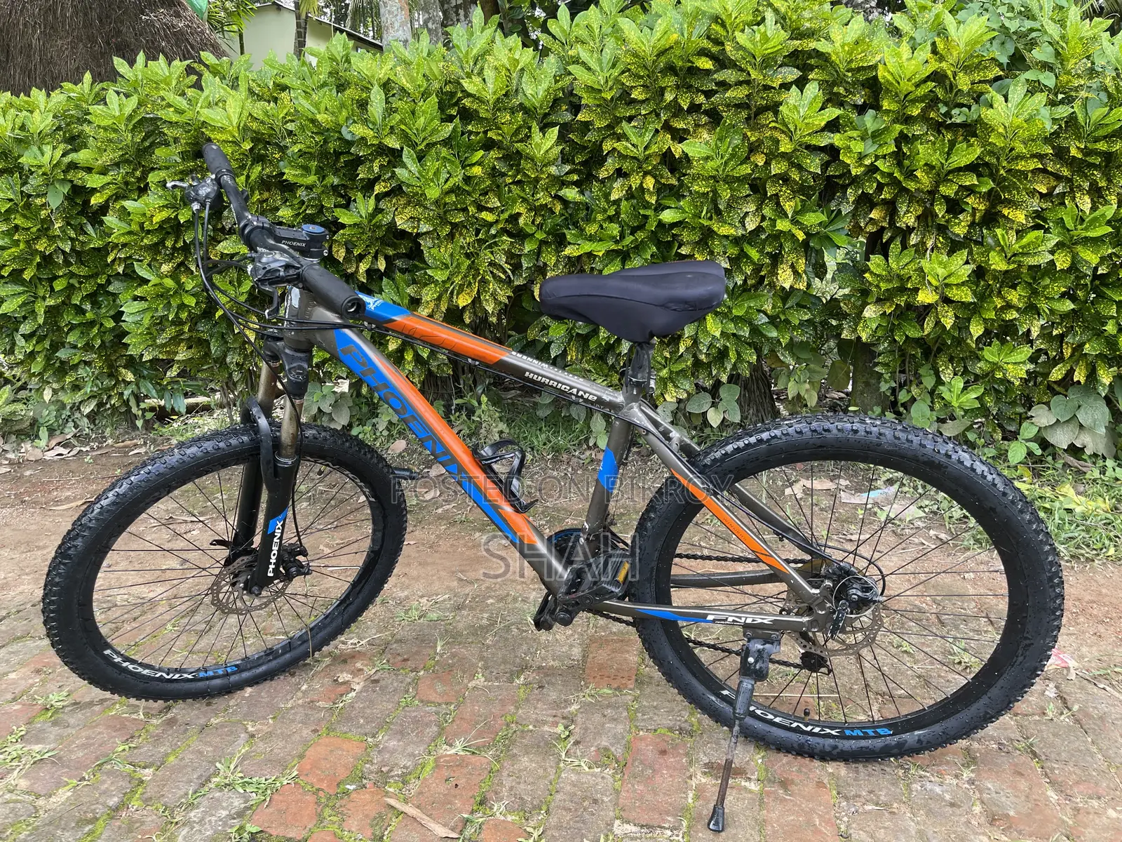 Phoenix Bicycle